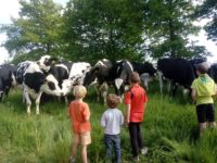 ferme 2.jpg